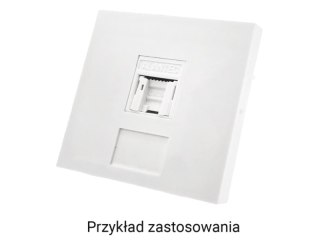 Adapter 45x45 1xRJ45 (płaski) ALANTEC