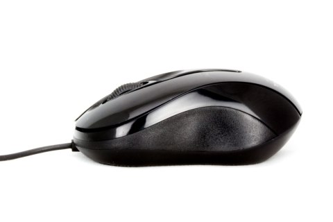 TM103K Mysz przewodowa 3D optyczna USB Hornet czarna Titanum TM103K Mysz przewodowa 3D optyczna USB Hornet czarna Titanum