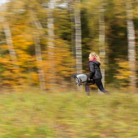 Skippi hobby horse z kantarem wodzami koń A3 duży Skippi hobby horse z kantarem wodzami koń A3 duży
