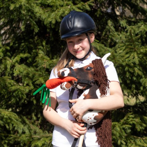 Smaczki dla Hobby Horse - marchewka kapusta jabłko rzodkiewka cukier Smaczki dla Hobby Horse - marchewka kapusta jabłko rzodkiewka cukier