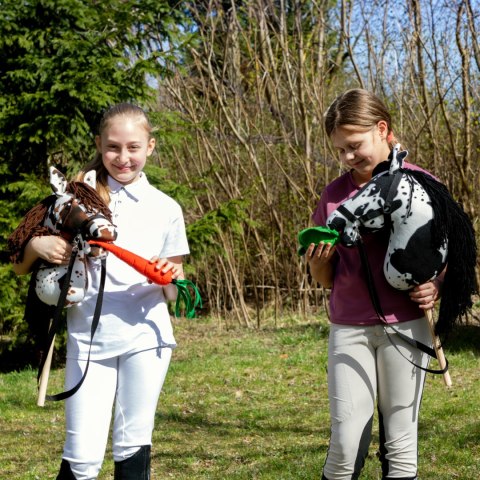 Smaczki dla Hobby Horse - marchewka kapusta jabłko rzodkiewka cukier Smaczki dla Hobby Horse - marchewka kapusta jabłko rzodkiewka cukier