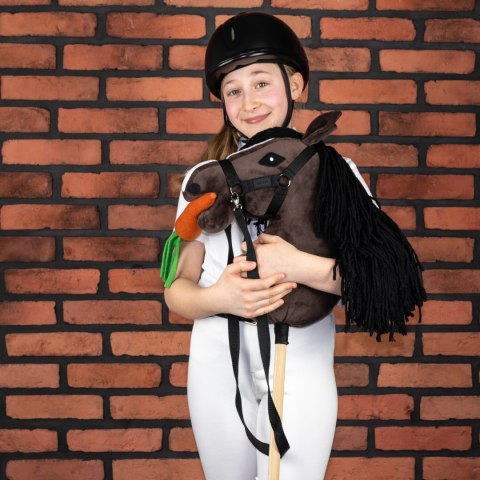 Smaczki dla Hobby Horse - marchewka kapusta jabłko rzodkiewka cukier Smaczki dla Hobby Horse - marchewka kapusta jabłko rzodkiewka cukier
