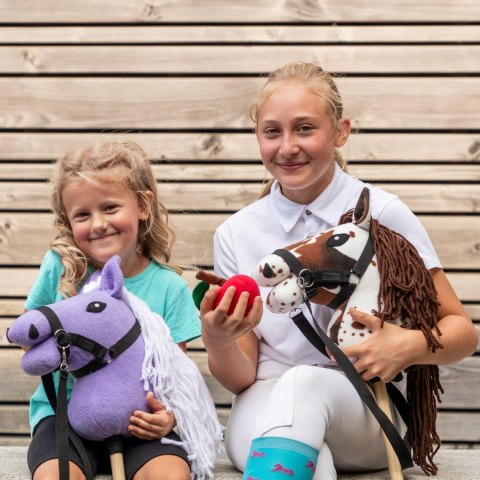 Smaczki dla Hobby Horse - marchewka kapusta jabłko rzodkiewka cukier Smaczki dla Hobby Horse - marchewka kapusta jabłko rzodkiewka cukier