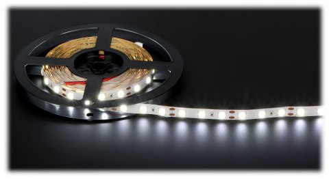 TAŚMA LED LED60A-12V/14.4W-CW/5M 5 m - 6000 K TAŚMA LED LED60A-12V/14.4W-CW/5M 5 m - 6000 K