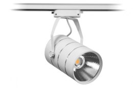 Lampa sklepowa led reflektor szynowy jednofazowy biały metalowy 30w 2550 lm światło neutralne 4000k