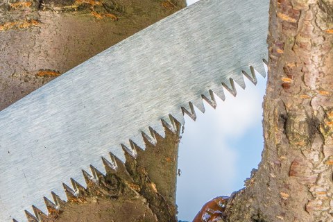 Piła ogrodowa z pokrowcem Piła ogrodowa z pokrowcem