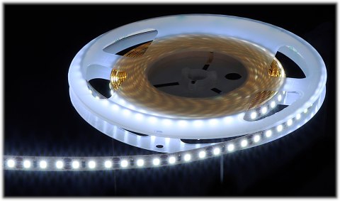 TAŚMA LED LED120-12V/9.6W-CW/5M - 16000 K MW Lighting TAŚMA LED LED120-12V/9.6W-CW/5M - 16000 K MW Lighting
