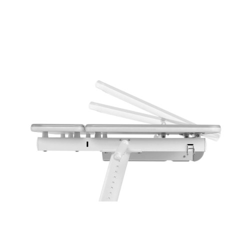Biurko dla dzieci ergonomiczne z regulacją wysokości Ergo Office, szare, max 100kg, ER-417 2cz Biurko dla dzieci ergonomiczne z regulacją wysokości Ergo Office, szare, max 100kg, ER-417 2cz