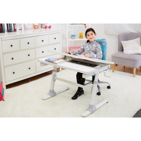 Biurko dla dzieci ergonomiczne z regulacją wysokości Ergo Office, szare, max 100kg, ER-417 2cz Biurko dla dzieci ergonomiczne z regulacją wysokości Ergo Office, szare, max 100kg, ER-417 2cz
