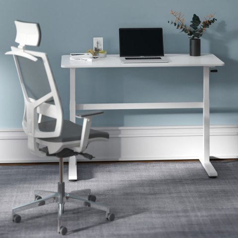 Biurko ręczna regulacja wys Ergo Office, max 40 kg, max wys 117cm, z blatem do pracy stojąco siedzącej, ER-401 W Biurko ręczna regulacja wys Ergo Office, max 40 kg, max wys 117cm, z blatem do pracy stojąco siedzącej, ER-401 W