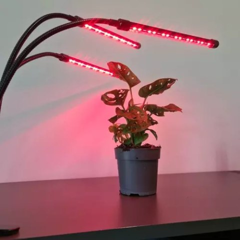 Lampa 20 LED 3szt. do wzrostu roślin Gardlov 19242 Lampa 20 LED 3szt. do wzrostu roślin Gardlov 19242