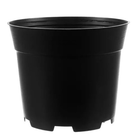 Doniczka produkcyjna - zestaw 500szt Doniczka produkcyjna - zestaw 500szt