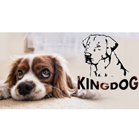 Legowisko dla psa 130 x 105 Ciemnoszare KingDog Legowisko dla psa 130 x 105 Ciemnoszare KingDog
