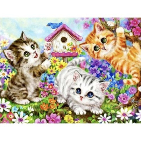 Malowanie po numerach 40x50cm- kotki Maaleo 22781 Malowanie po numerach 40x50cm- kotki Maaleo 22781