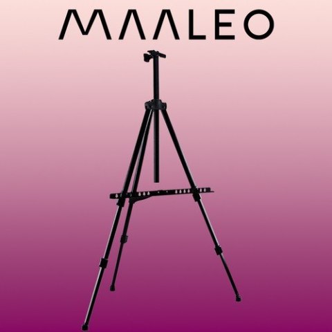 Sztaluga malarska 23669 Sztaluga malarska 23669