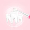 Szczoteczka soniczna dla dzieci SEAGO, kolor różowy, 1xAAA 1,5V (brak w zestawie), 4 końcówki, SG-902 Pink