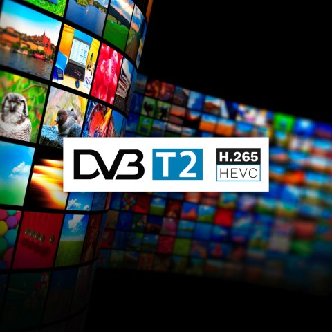 Tuner DVB-T2 H.265 HEVC Cabletech Tuner DVB-T2 H.265 HEVC Cabletech