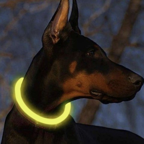 Obroża świecąca LED- regulowana Purlov 24200 Obroża świecąca LED- regulowana Purlov 24200