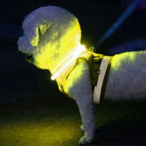 Obroża świecąca LED- regulowana Purlov 24200 Obroża świecąca LED- regulowana Purlov 24200