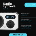 AD 1906 Radio cyfrowe - pll am/fm
