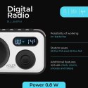 AD 1906 Radio cyfrowe - pll am/fm