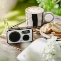 AD 1906 Radio cyfrowe - pll am/fm