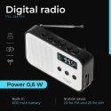 AD 1907 Radio cyfrowe pll am / fm