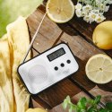 AD 1907 Radio cyfrowe pll am / fm
