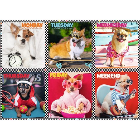 Puzzle - 200 - Wesołe psy - Trefl 13279 Puzzle - 200 - Wesołe psy - Trefl 13279