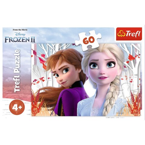 Puzzle - "60" - Zaczarowany świat Anny i Elsy Trefl 17333 Puzzle - "60" - Zaczarowany świat Anny i Elsy Trefl 17333