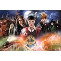 Puzzle Harry Potter 300 el. Tajemniczy Harry Potter 23001