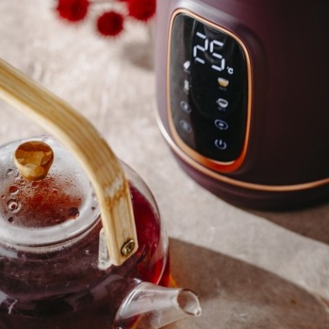 AD 1305 burgundy Czajnik elektryczny szklany led z regulacją temperatury 1,7l AD 1305 burgundy Czajnik elektryczny szklany led z regulacją temperatury 1,7l