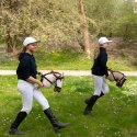Hobby Horse Skippi A3 - Karmel - Beżowy - kantar i wodze w zestawie