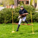 Hobby Horse Skippi A3 - Karmel - Beżowy - kantar i wodze w zestawie