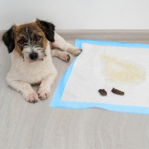 Podkład higieniczny 60x60cm 50szt. Purlov 21600 Podkład higieniczny 60x60cm 50szt. Purlov 21600