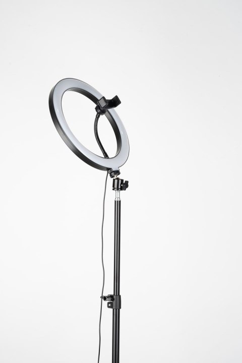 Tripod Havit ST7012 Pro z pierścieniem świetlnym Tripod Havit ST7012 Pro z pierścieniem świetlnym