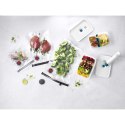 Zestaw startowy plastikowy L ZWILLING Fresh & Save 36815-017-0 (WYPRZEDAŻ)