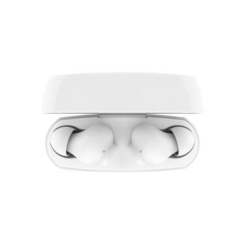 BELKIN BEZPRZEWODOWE SOUNDFORM RHYTHM BT DOUSZNE BIAŁE