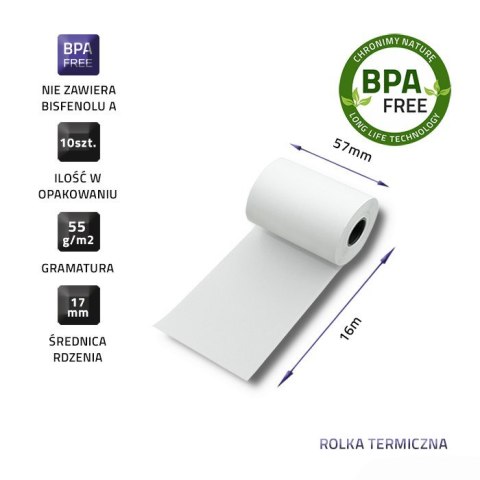 QOLTEC ROLKA TERMICZNA 57X16 | 55G/M2 | 10SZT | BPA FREE QOLTEC ROLKA TERMICZNA 57X16 | 55G/M2 | 10SZT | BPA FREE