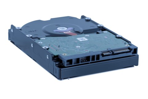 Dysk HDD WD Red Plus WD80EFPX (8 TB ; 3.5"; 256 MB)