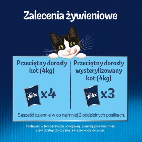 FELIX Fantastic Ryba - mokra karma dla kota - 12x85g FELIX Fantastic Ryba - mokra karma dla kota - 12x85g
