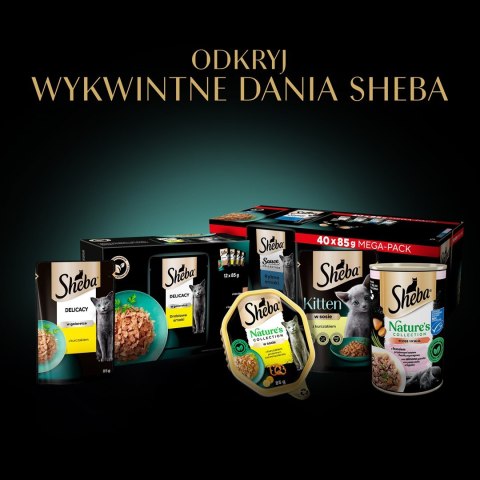 SHEBA Delicacy Drobiowe Smaki w galaretce - mokra karma dla kotów - 80x 85 g SHEBA Delicacy Drobiowe Smaki w galaretce - mokra karma dla kotów - 80x 85 g