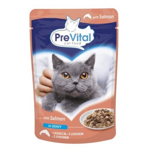 PREVITAL łosoś w sosie dla kotów 100g PREVITAL łosoś w sosie dla kotów 100g