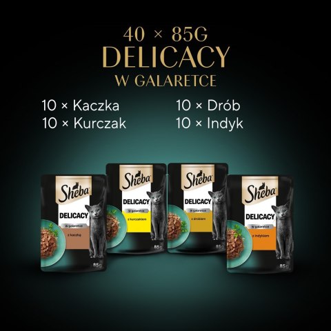 SHEBA Delicacy drobiowe smaki w galarecie- Drób - Mokra karma dla kota - 40x85g SHEBA Delicacy drobiowe smaki w galarecie- Drób - Mokra karma dla kota - 40x85g