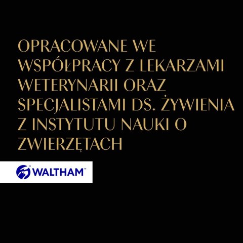 SHEBA Delicacy drobiowe smaki w galarecie- Drób - Mokra karma dla kota - 40x85g SHEBA Delicacy drobiowe smaki w galarecie- Drób - Mokra karma dla kota - 40x85g