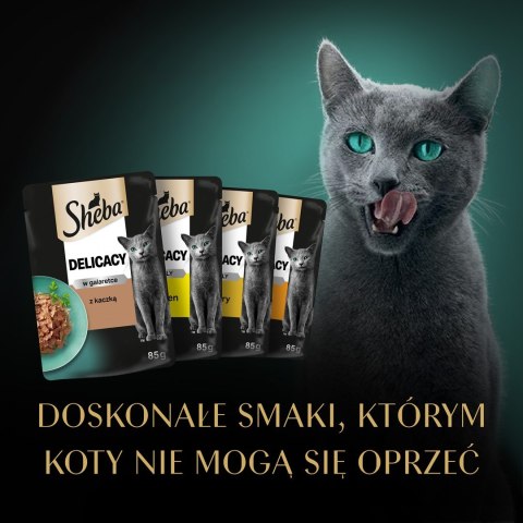 SHEBA Delicacy drobiowe smaki w galarecie- Drób - Mokra karma dla kota - 40x85g SHEBA Delicacy drobiowe smaki w galarecie- Drób - Mokra karma dla kota - 40x85g
