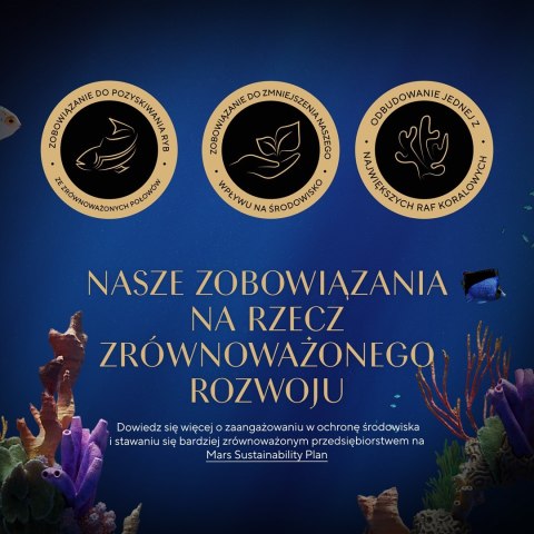 SHEBA Nature's Collection Drobiowe smaki w galarecie- Junior Kurczak/Łosoś - Mokra karma dla kota 40x85g SHEBA Nature's Collection Drobiowe smaki w galarecie- Junior Kurczak/Łosoś - Mokra karma dla kota 40x85g