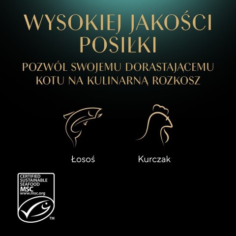 SHEBA Nature's Collection Drobiowe smaki w galarecie- Junior Kurczak/Łosoś - Mokra karma dla kota 40x85g SHEBA Nature's Collection Drobiowe smaki w galarecie- Junior Kurczak/Łosoś - Mokra karma dla kota 40x85g