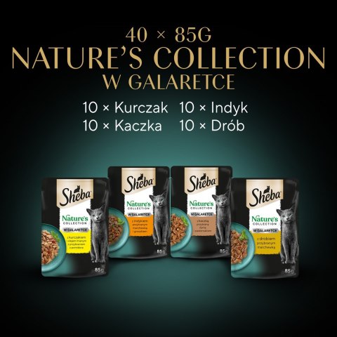 SHEBA Nature's Collection drobiowe smaki w galarecie- Drób - Adult- Mokra karma dla kota- 40x85 SHEBA Nature's Collection drobiowe smaki w galarecie- Drób - Adult- Mokra karma dla kota- 40x85