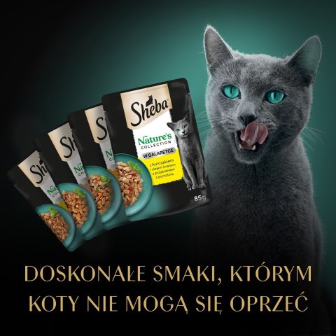 SHEBA Nature's Collection drobiowe smaki w galarecie- Drób - Adult- Mokra karma dla kota- 40x85 SHEBA Nature's Collection drobiowe smaki w galarecie- Drób - Adult- Mokra karma dla kota- 40x85